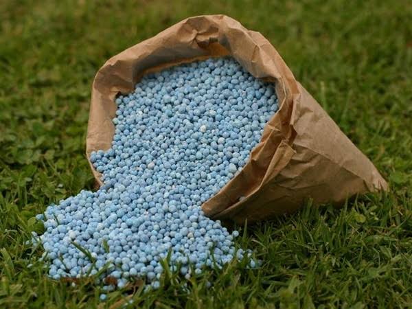 Fertilizer Trading